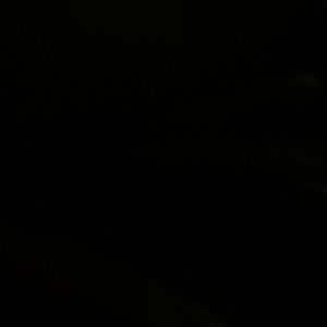 Meet your Posher, Liz